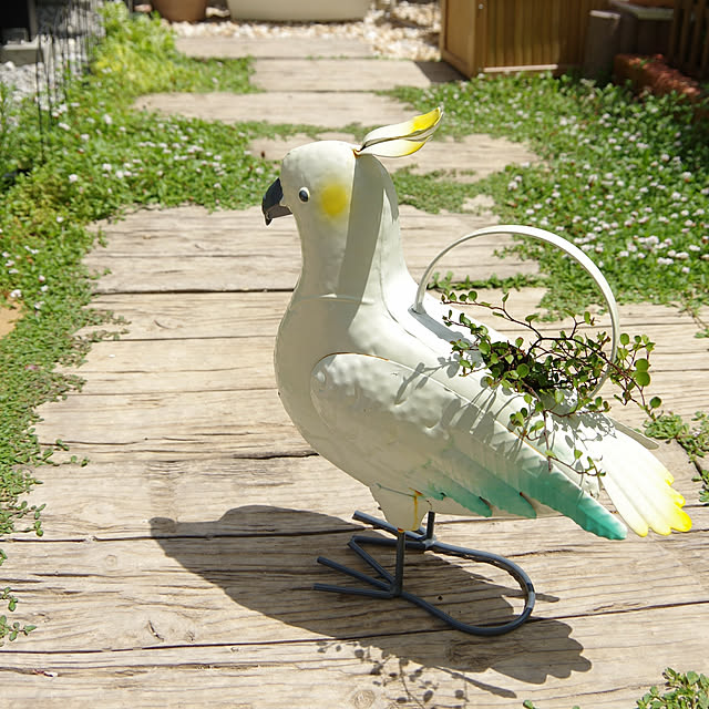 Shooowkoさんの実例写真
