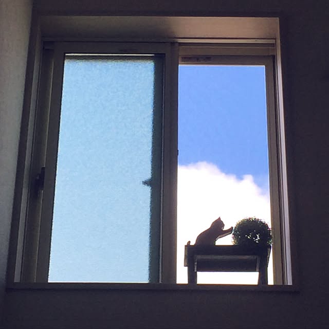 amireiさんの実例写真