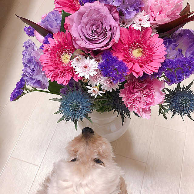 hama1219さんの実例写真