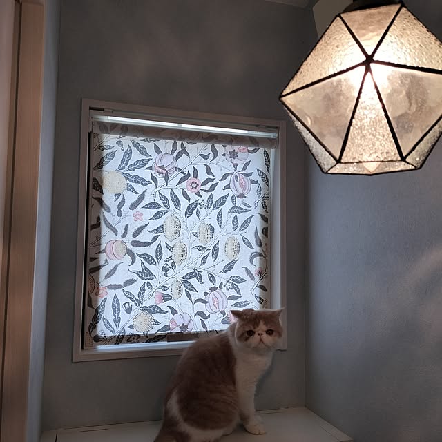 s.houseさんの部屋