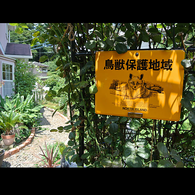 sixflagsさんの実例写真