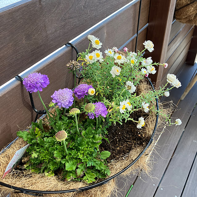 UKAさんの部屋
