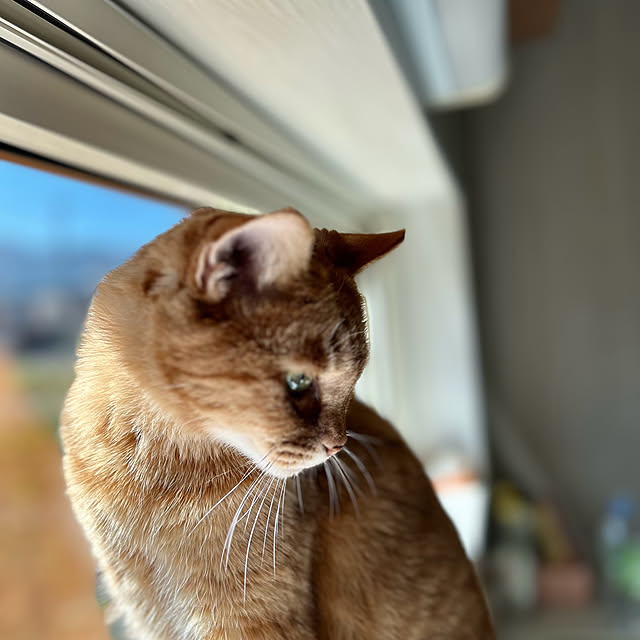 mikeume7さんの部屋