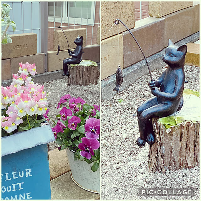moolさんの実例写真