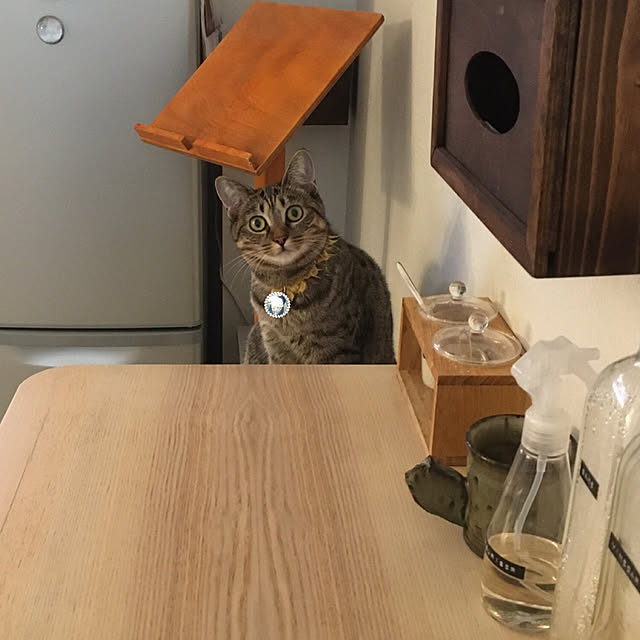 Mさんの実例写真
