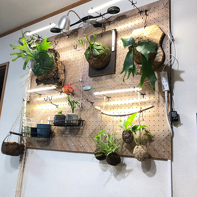 CoffeeHouseさんの部屋