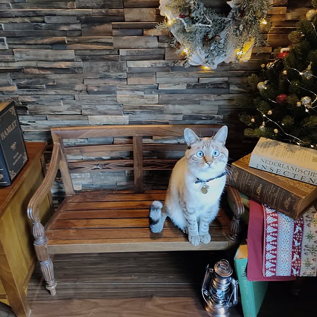 Atelier_tamakiさんの実例写真