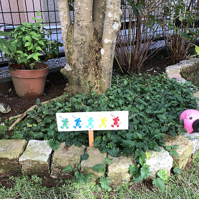 maron915さんの実例写真