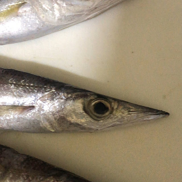 Newtypeさんの実例写真