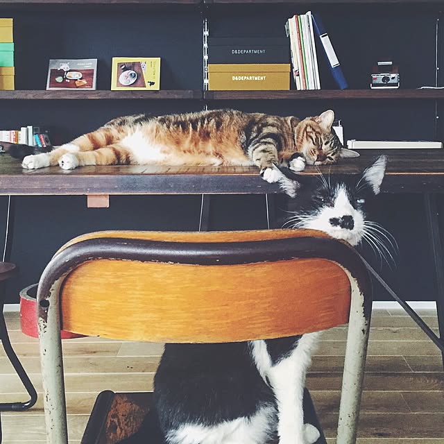 nekosanさんの実例写真