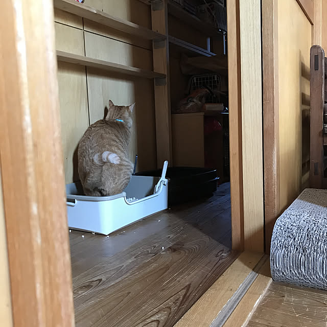 misamisa1113さんの実例写真