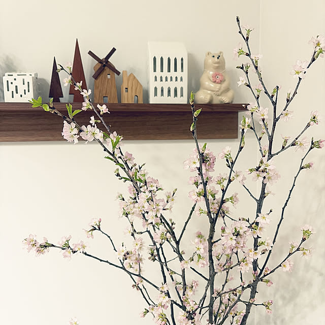 Yasunaさんの実例写真