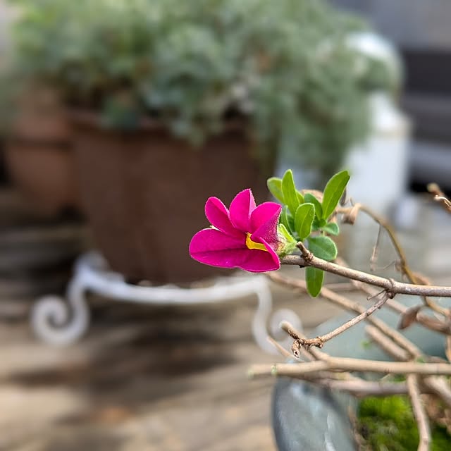 mofukoさんの部屋