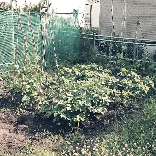 Hiroeさんの実例写真