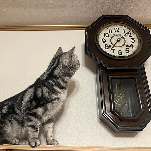 Kintaroさんの実例写真