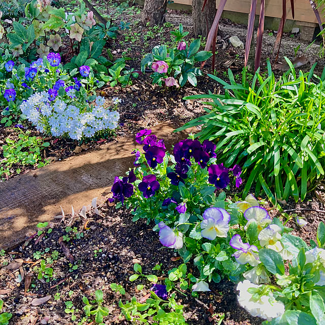 green.green.greenさんの部屋