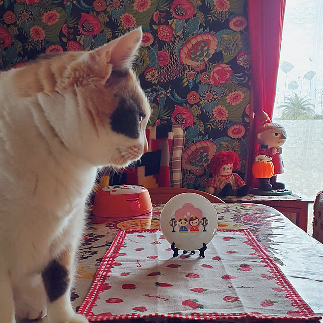 kumutanさんの実例写真