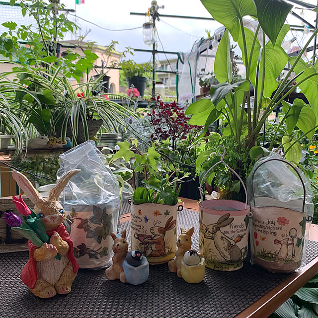 Aqettyさんの部屋