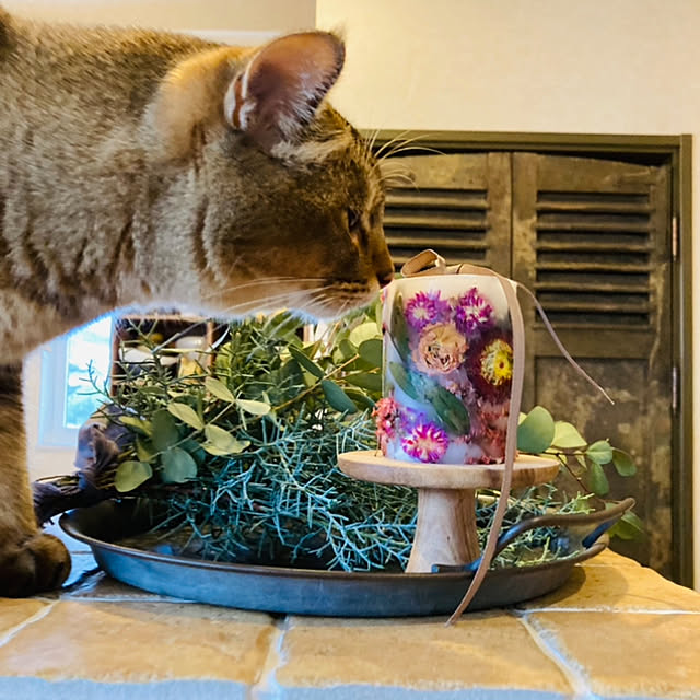 jill_lowさんの実例写真