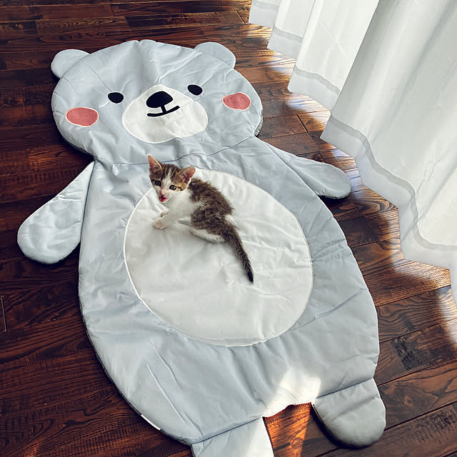 ha_koさんの実例写真