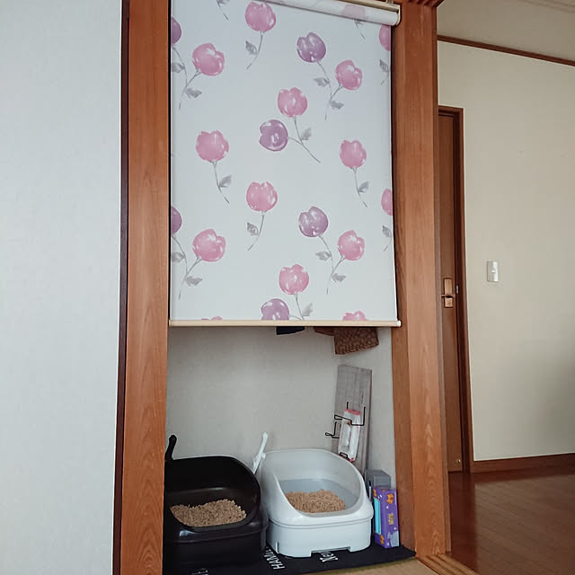 kumiさんの実例写真