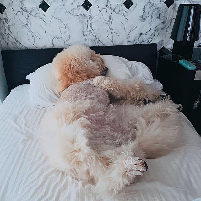 nackeyさんの部屋