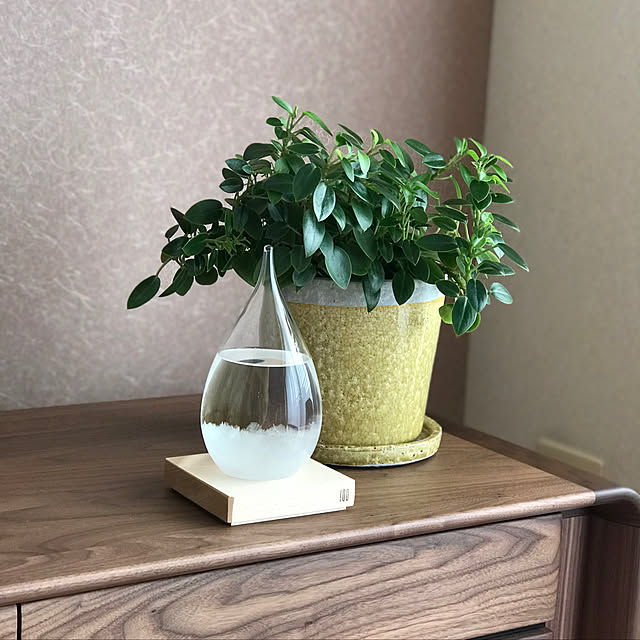 Saraさんの実例写真