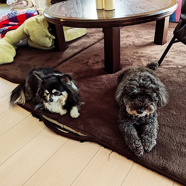 umeboshicyanさんの実例写真