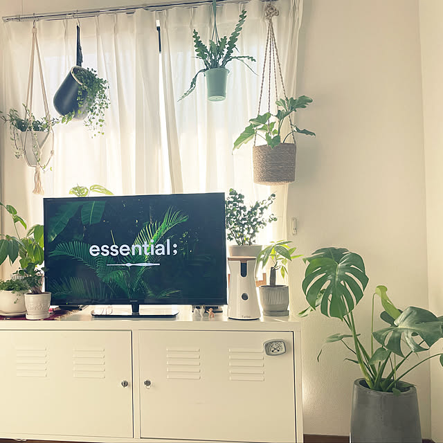 北欧/ホワイトインテリア/観葉植物/IKEA/リビングのインテリア実例 - 2022-05-29 09:53:07