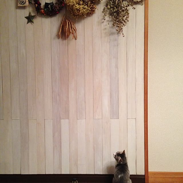 実例写真