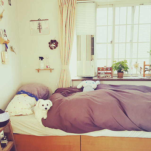 部屋全体/セリア/DIY/ナチュラル/観葉植物...などのインテリア実例 - 2019-01-19 21:16:28