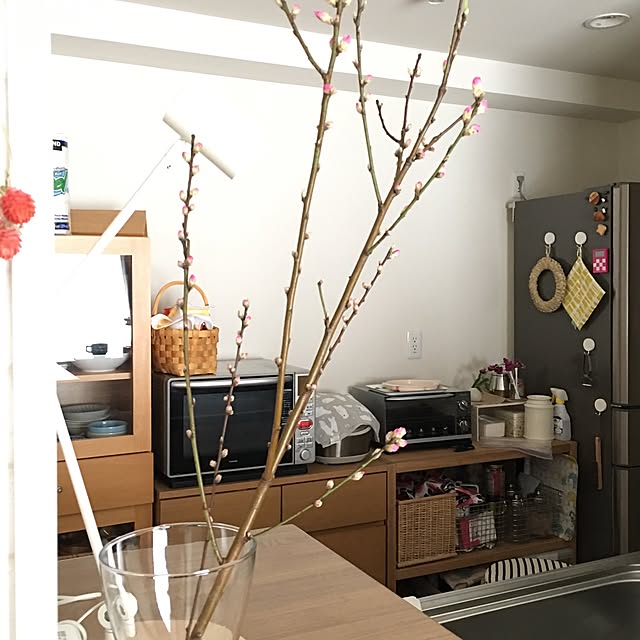 soratanさんの実例写真