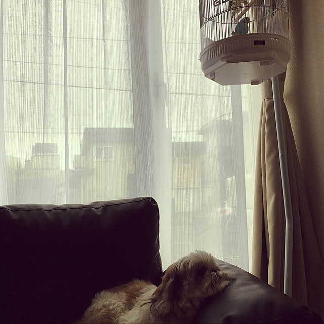 my_homeさんの実例写真
