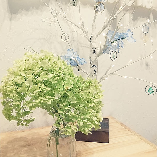 clover2018さんの実例写真