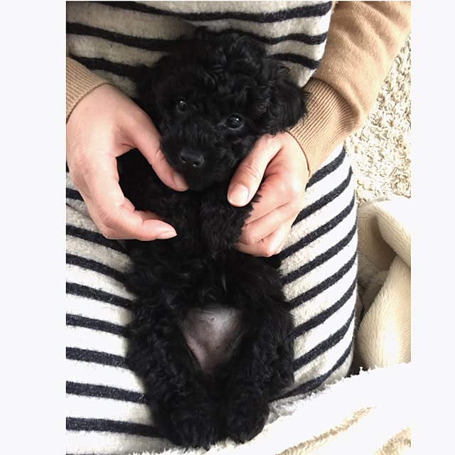 UNI.mamaさんの実例写真