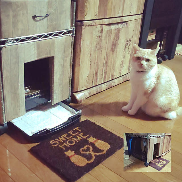 kobakissaさんの実例写真