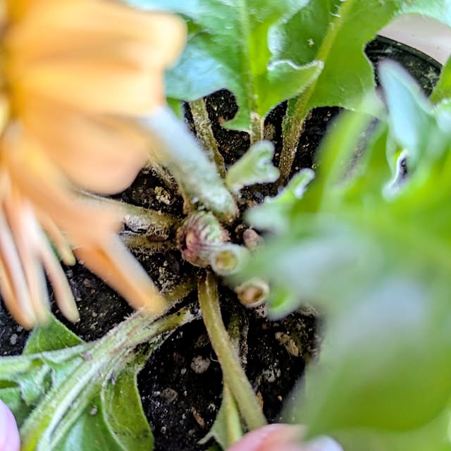 mi-saさんの部屋