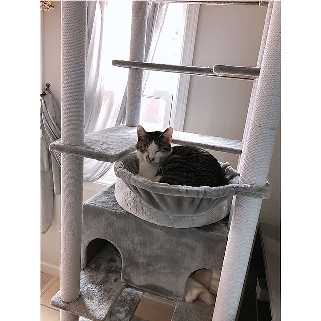 akirisさんの実例写真