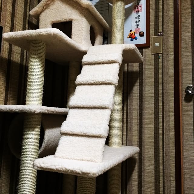 MAKOさんの実例写真