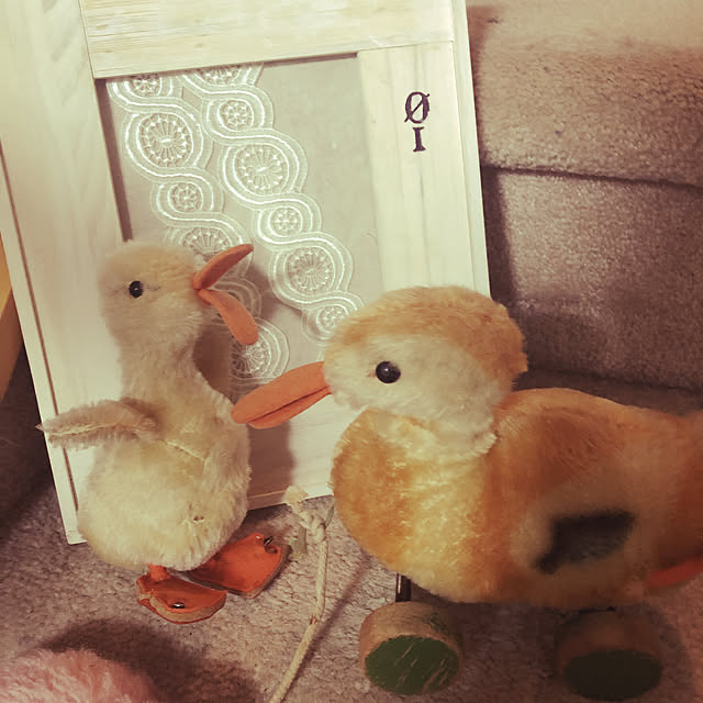 rojoさんの実例写真