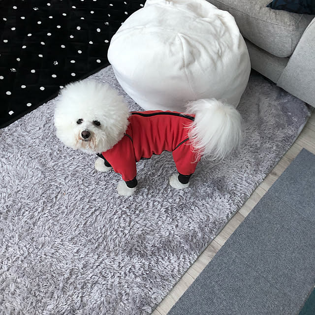 unichanさんの実例写真