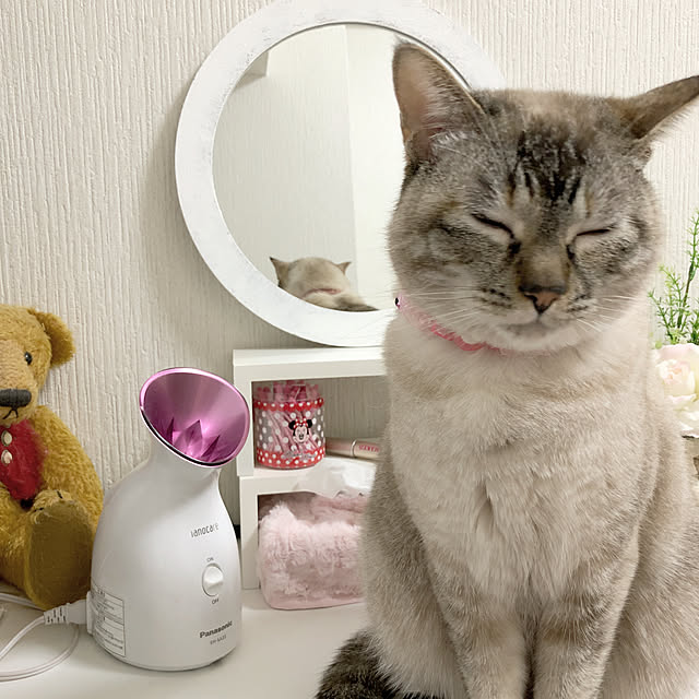 noelさんの実例写真