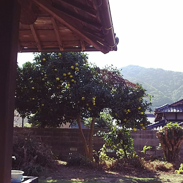 ringarintonさんの実例写真