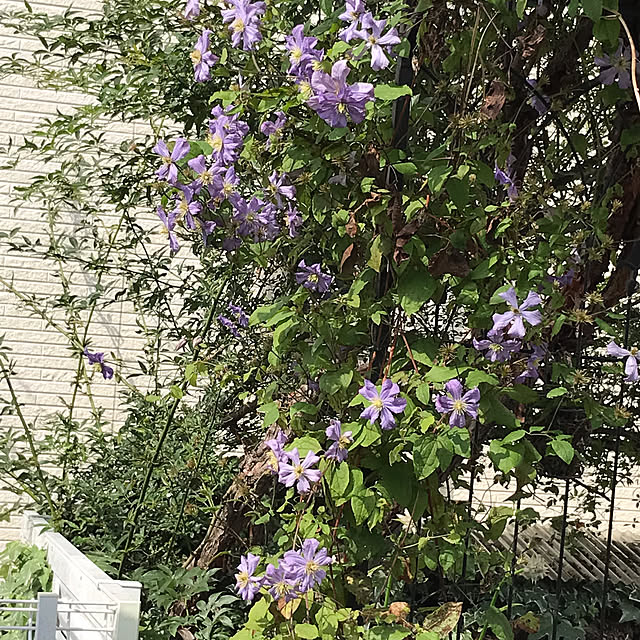 ayomoyuさんの部屋