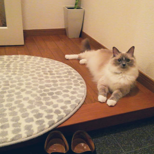hannaさんの実例写真