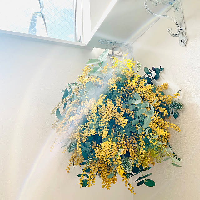 ミモザのスワッグ/花/バス/トイレのインテリア実例 - 2023-04-23 08:04:53