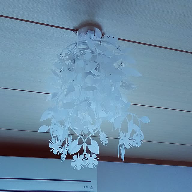 moddocchiさんの実例写真
