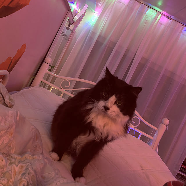 kanaさんの実例写真