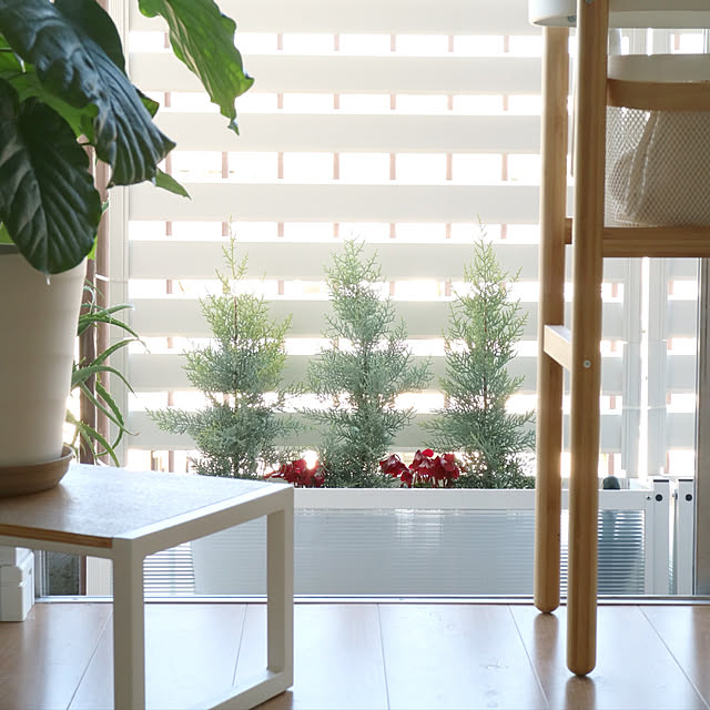 miyaさんの実例写真