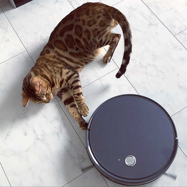 iranさんの実例写真